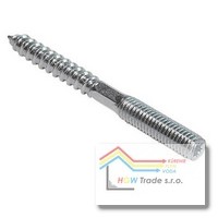 KOMBI SKRUTKA M 10X100mm